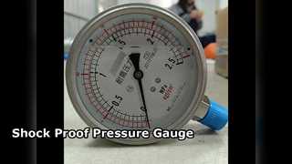 100 мм 4 дюйма ВСЕ нерж. сталь 0–2,5 МПа