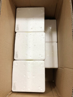 6 дюймов 0-1,6 МПа Удалённый датчик давления 1,6% точность